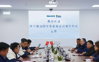 跨界聚力?智啟新程|瀘州老窖集團(tuán)一行赴遠(yuǎn)東股份宜賓智能產(chǎn)業(yè)園共探合作新機(jī)